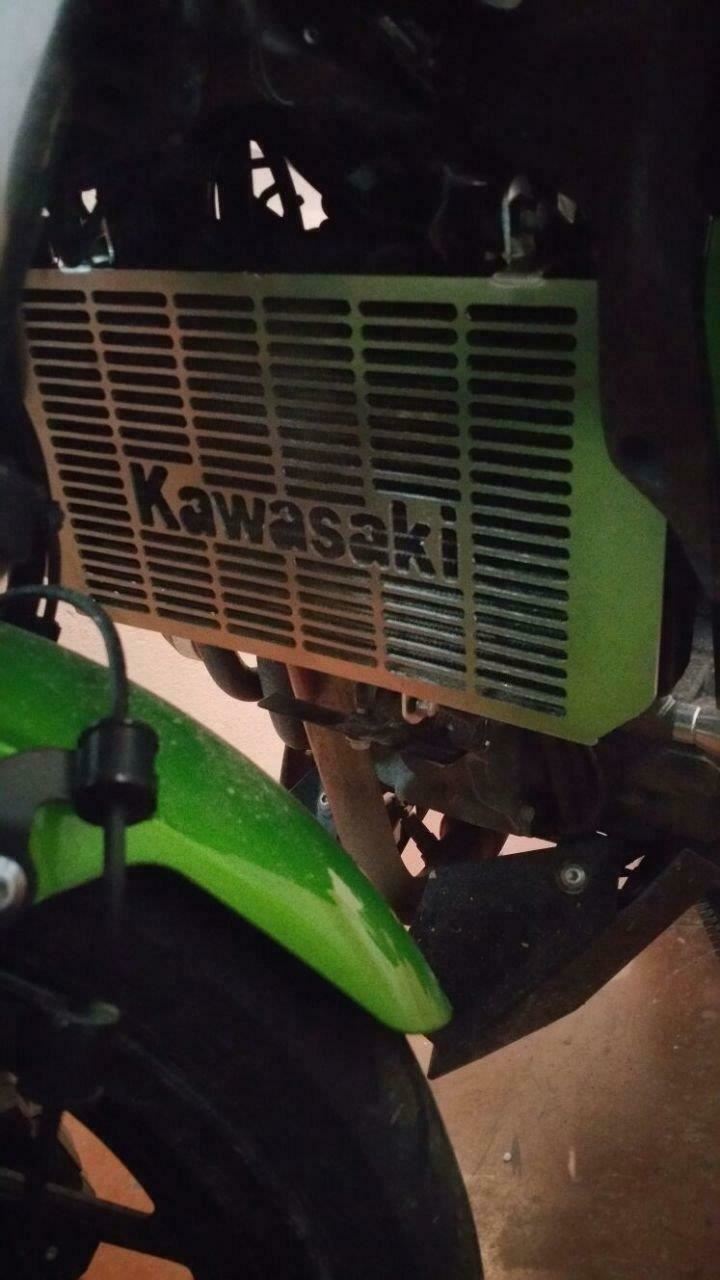 Kawasaki Z 250SL radiator guard 2015-18